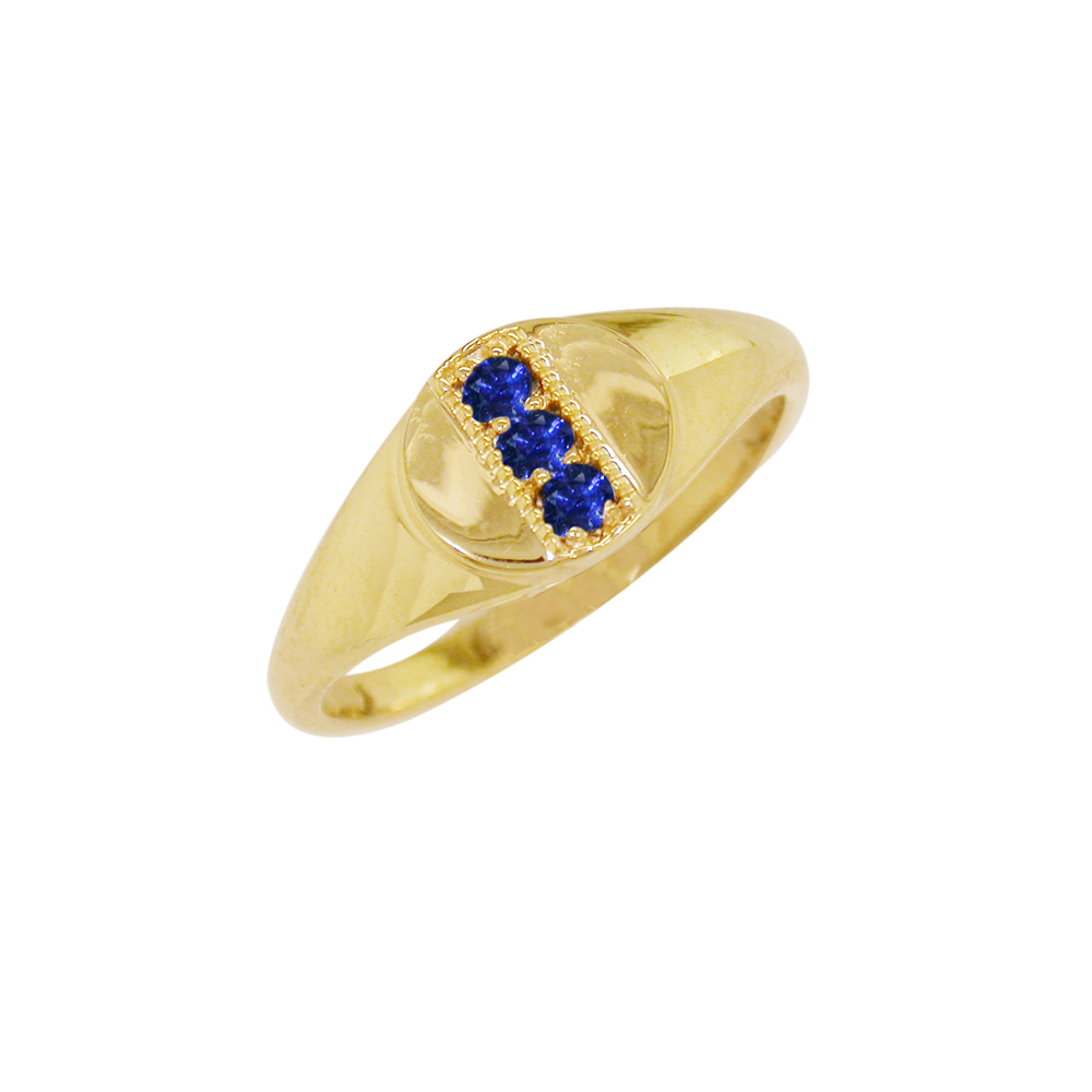 9ct Yellow Gold Sapphire September Birthstone Signet Ring - London Road ...