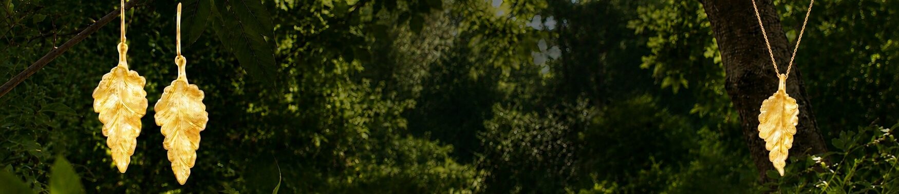 Image Banner