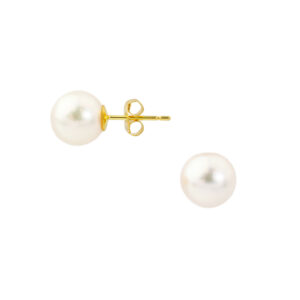 9ct yellow gold white pearl stud earrings