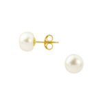 9ct yellow gold white freshwater bouton pearl stud earrings